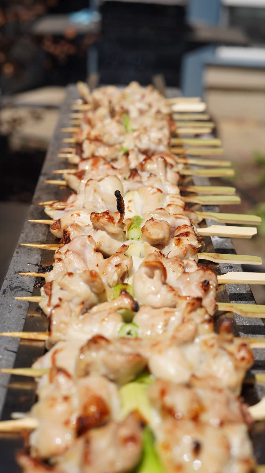 Cooked chicken thigh skewers with negi, fresh off the binchotan